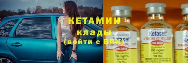 крисы Бородино