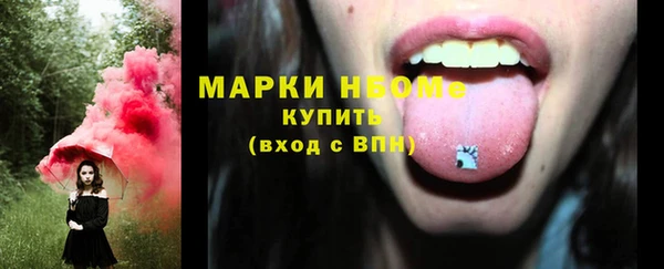 крисы Бородино