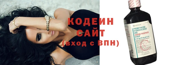 крисы Бородино