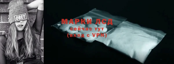 крисы Бородино