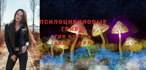 крисы Бородино