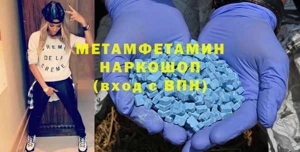 крисы Бородино