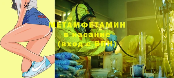 крисы Бородино
