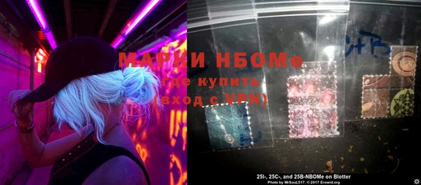 крисы Бородино