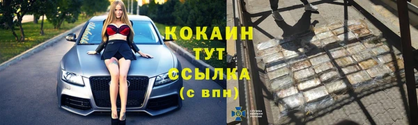 крисы Бородино