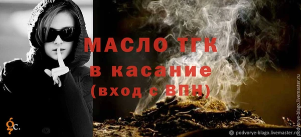 крисы Бородино