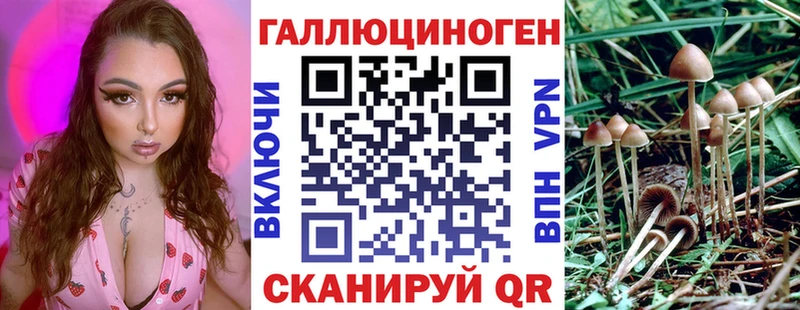 Галлюциногенные грибы Cubensis  Купить закладки  Кирс 
